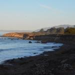 Cambria_0593 (November 02, 2013)